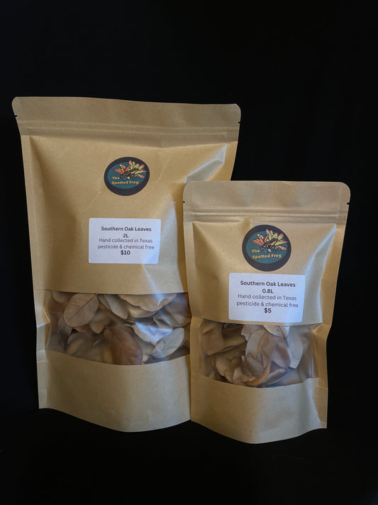 Southern Oak Leaf Litter