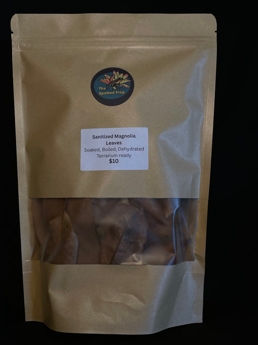 Magnolia Leaf Litter