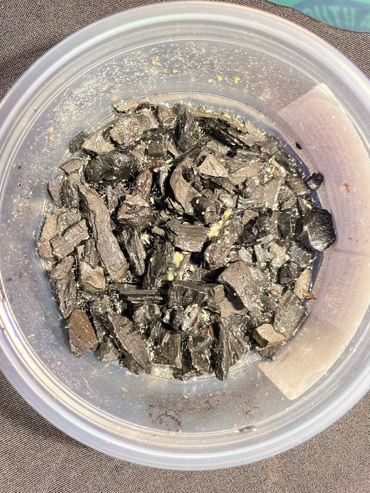 Springtails in Charcoal - Temperate White