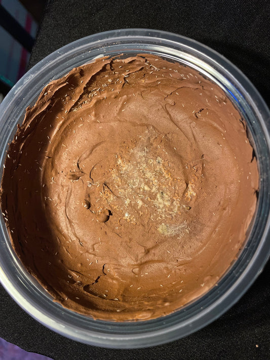 Springtails in Clay - Temperate White