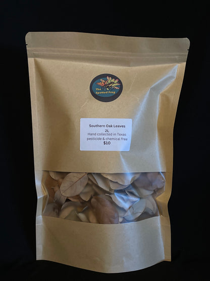 Southern Oak Leaf Litter