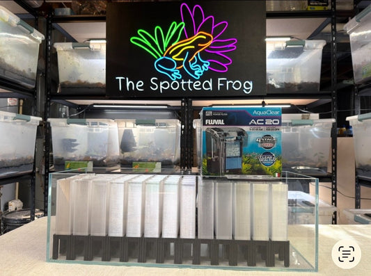 Complete Tadpole Setup