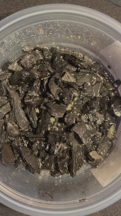 Springtails in Charcoal - Temperate White